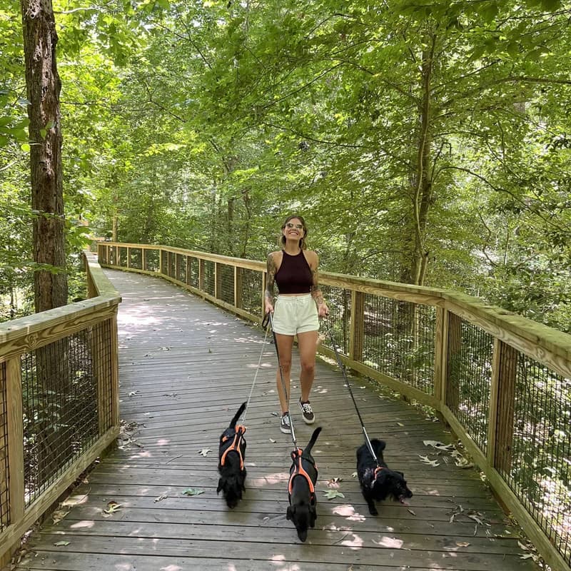 Kasey, barber at Devon's Barbershop, walking three dogs on a wooded boardwalk